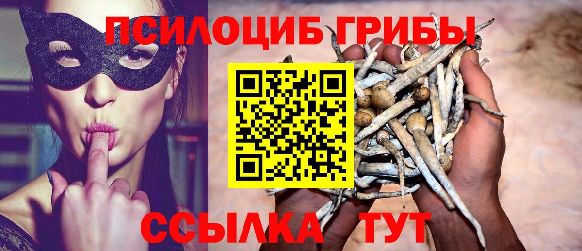 Галлюциногенные грибы Psilocybine cubensis  Вход с VPN  Сосновоборск  Галлюциногенные грибы Cubensis 